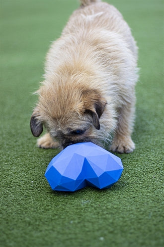 Load image into Gallery viewer, Battersea voerbal hart rubber blauw