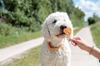 Load image into Gallery viewer, Trixie premio lolly met kip en rijst
