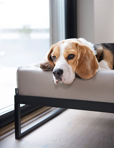 Load image into Gallery viewer, Bia air frame voor bed zwart