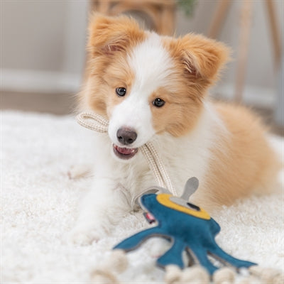 Load image into Gallery viewer, Trixie monster leer met touw