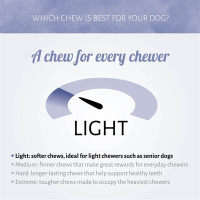 Load image into Gallery viewer, Antos mini bones pens