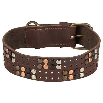 Load image into Gallery viewer, Trixie halsband hond rivet rustic vetleer donkerbruin