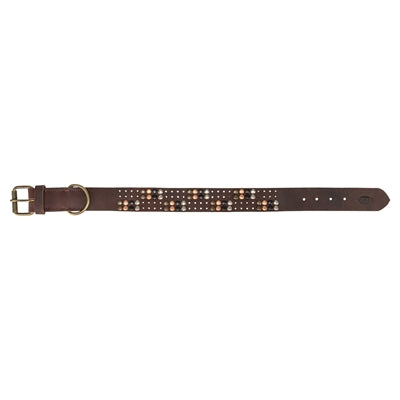 Load image into Gallery viewer, Trixie halsband hond rivet rustic vetleer donkerbruin