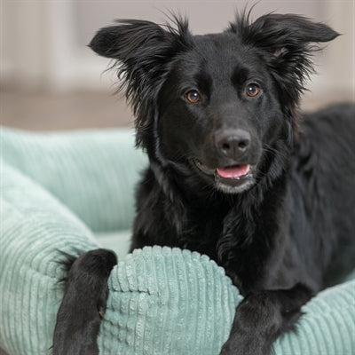 Load image into Gallery viewer, Trixie hondenmand jonna vital ribstof saliegroen