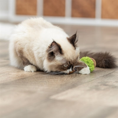 Load image into Gallery viewer, Trixie matatabi lolly