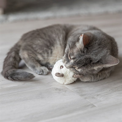 Load image into Gallery viewer, Trixie beer met catnip pluche assorti