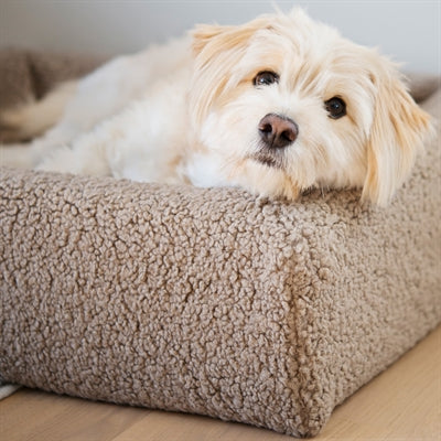 Afbeelding laden in galerijviewer, Bia bed premium hoes teddy beige