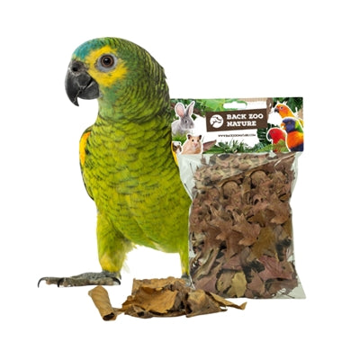 Afbeelding laden in galerijviewer, Back zoo nature discovery leaves