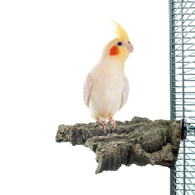 Afbeelding laden in galerijviewer, Back zoo nature corky chew