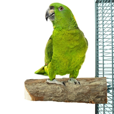 Load image into Gallery viewer, Back zoo nature wood slice perch