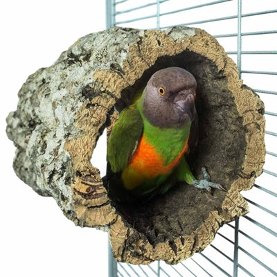 Load image into Gallery viewer, Back zoo nature trunkhut