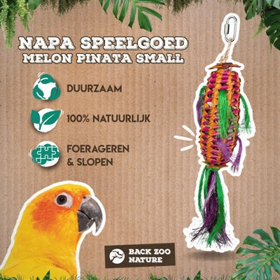 Load image into Gallery viewer, Back zoo nature melon pinata