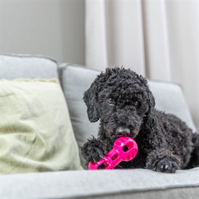 Load image into Gallery viewer, Trixie dumbell soft strong tpr roze