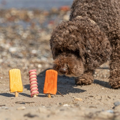 Load image into Gallery viewer, Trixie ice pop oranje