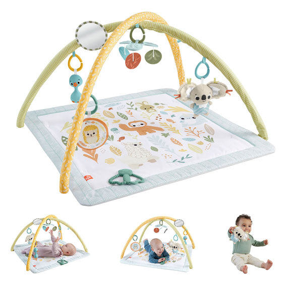 Load image into Gallery viewer, Fisher price simply senses babygym