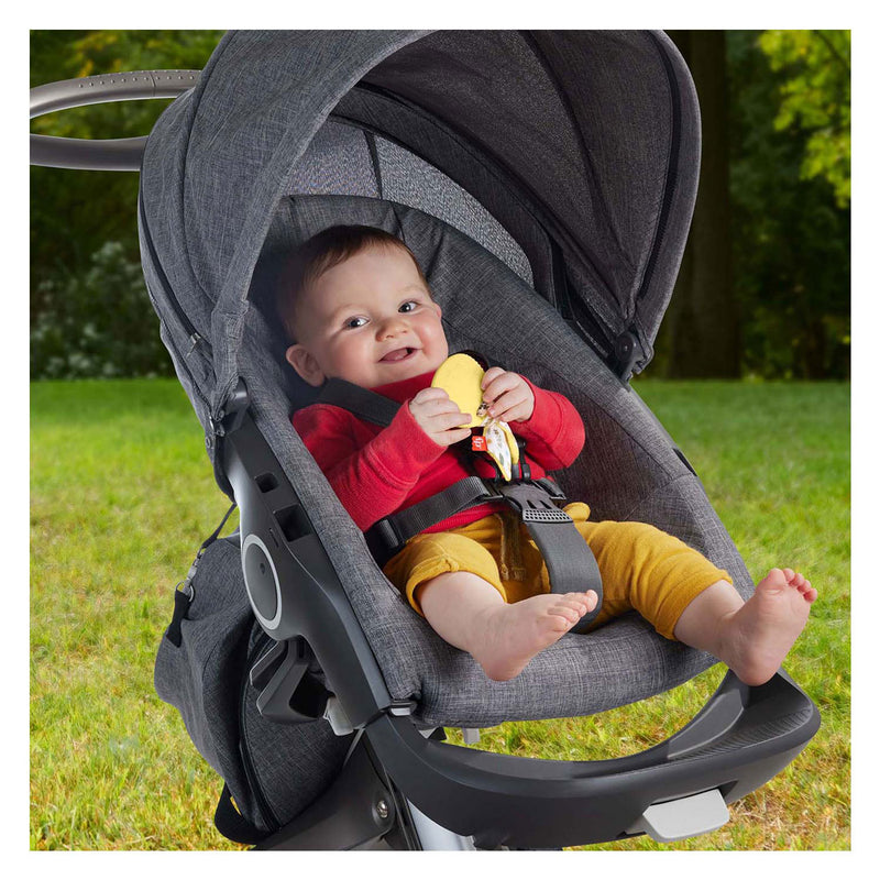 Load image into Gallery viewer, Fisher price bijt rammelaar konijn