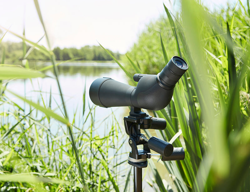 Load image into Gallery viewer, Noblex spotting scope ns 20-60x80 ed inception