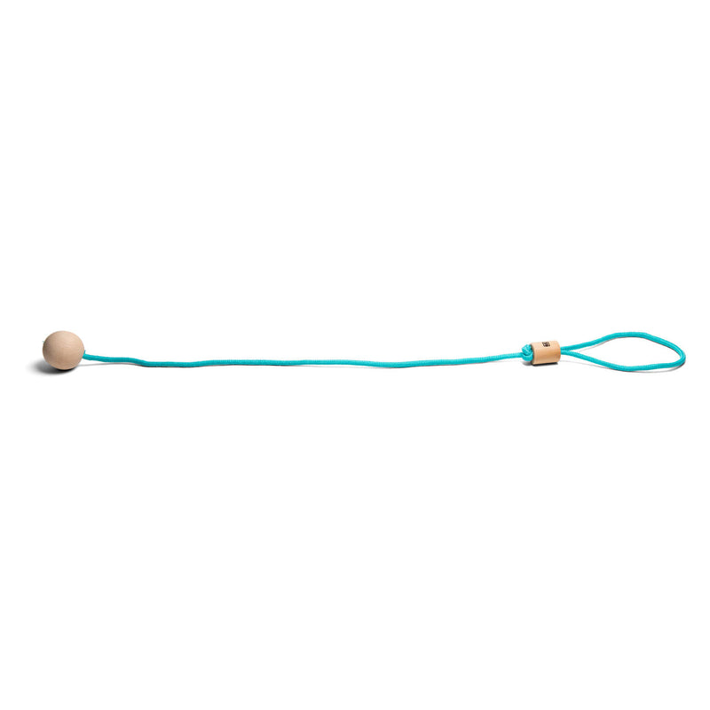 Load image into Gallery viewer, Bs toys enkelspringbal junior - kinder speelgoed - 75 x 4 cm - hout polyester - blauw - buitenspeelgoed - cadeau kind