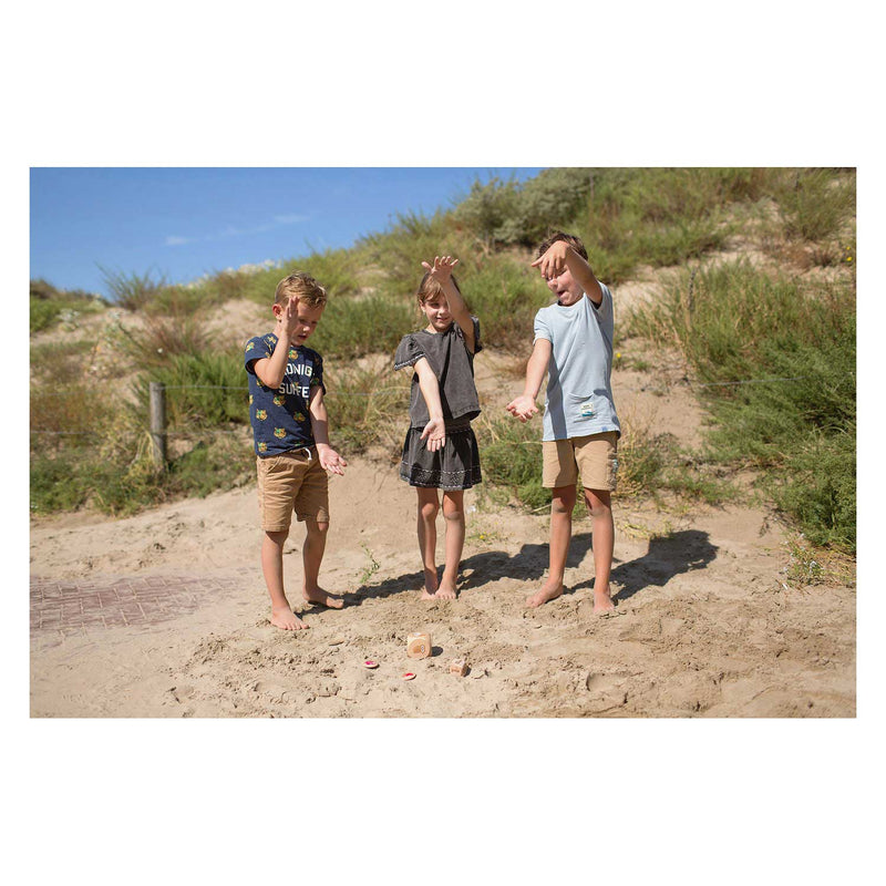 Load image into Gallery viewer, Bs toys vogels in actie hout - kinderspel