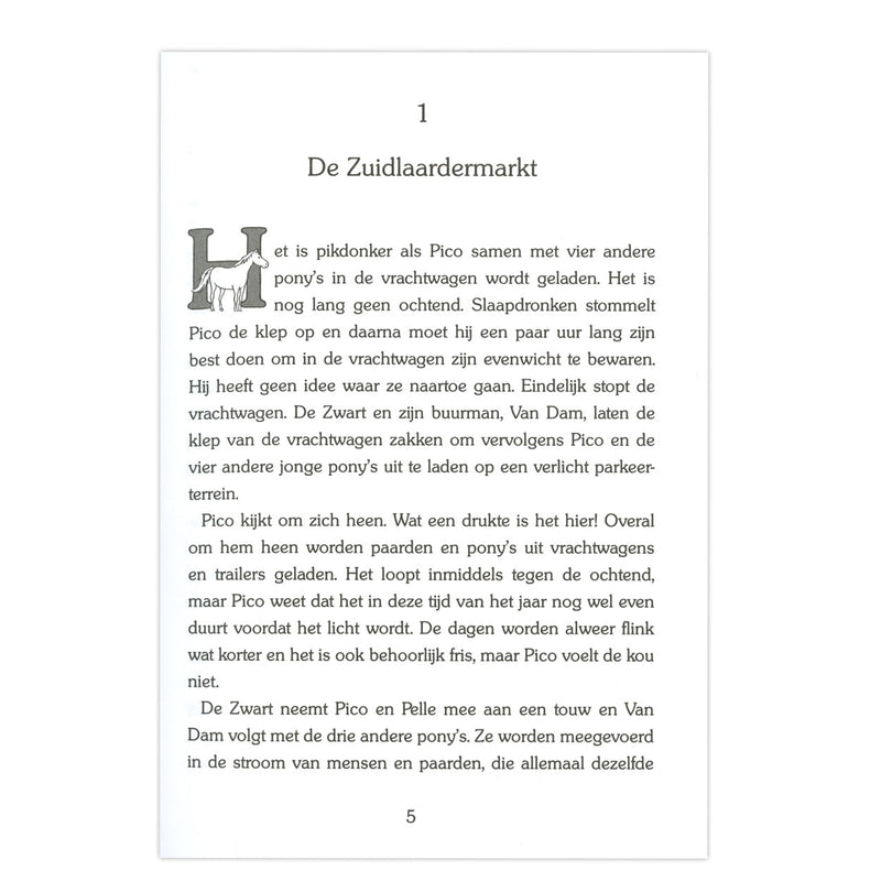 Load image into Gallery viewer, Kluitman gouden paarden: de zoektocht van pico