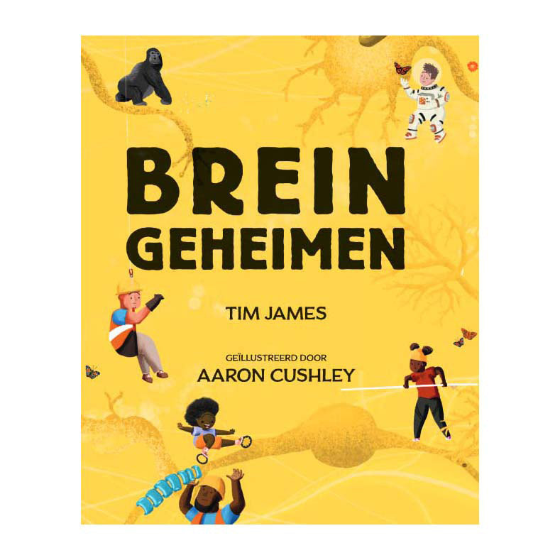 Load image into Gallery viewer, Uitgeverij kluitman breingeheimen