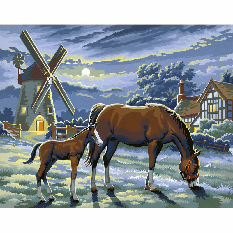 Afbeelding laden in galerijviewer, Basic Schilderen Op Nummer Paarden