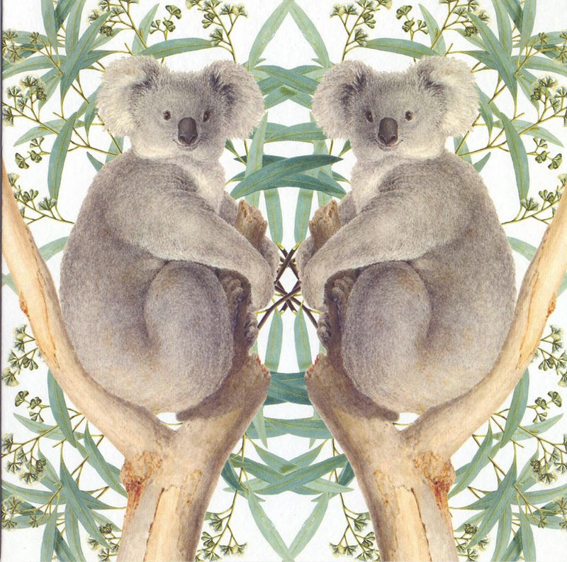 Load image into Gallery viewer, Kaart+envelop koalaberen. 16x16 cm