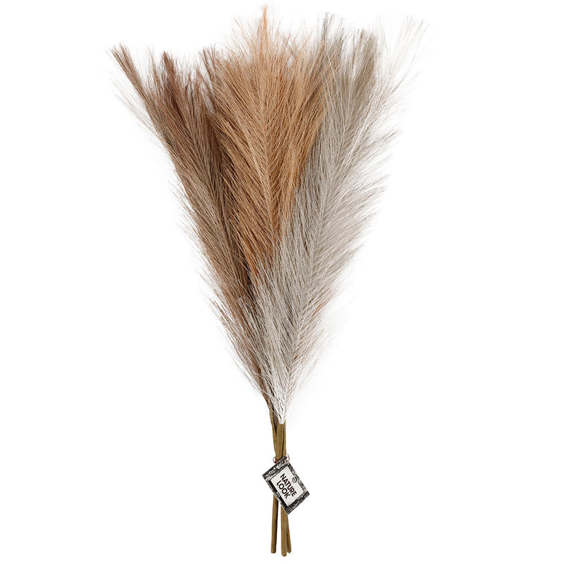 Load image into Gallery viewer, Http: www.cchobby.nl pampasgras-l-50-cm-licht-beige-lichtbruin-lichtgrijs-3-stuk-1-bol