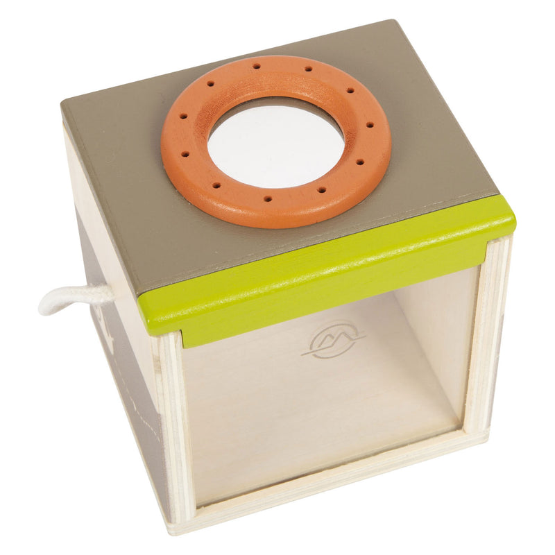 Load image into Gallery viewer, Small foot - houten insectendoos discover