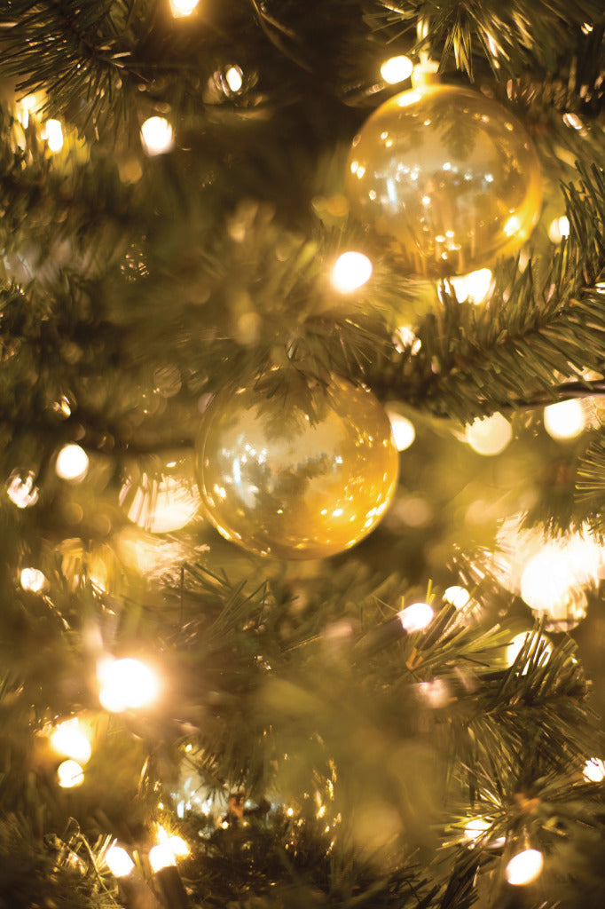 Afbeelding laden in galerijviewer, HQ HQ HQCLS48660 Kerstverlichting 100 LEDs 3W 9,42M Warm Wit Binnen