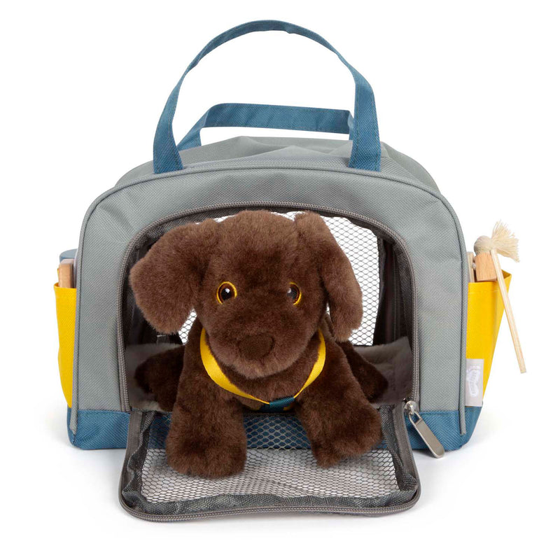Load image into Gallery viewer, Small foot - knuffel hond met draagtas en verzorgingsset