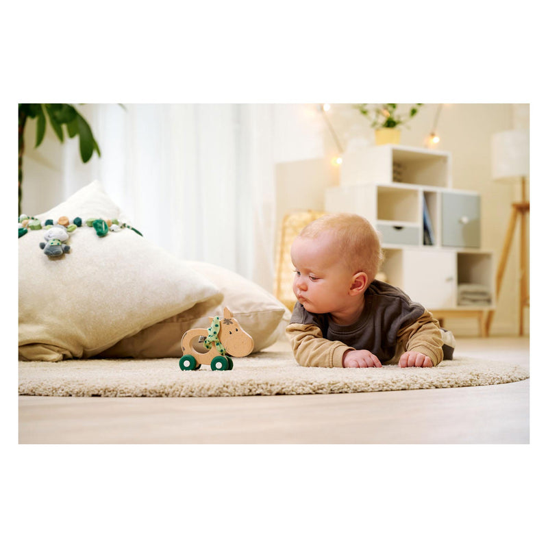 Load image into Gallery viewer, Eichhorn baby hipp houten duwfiguur ezel