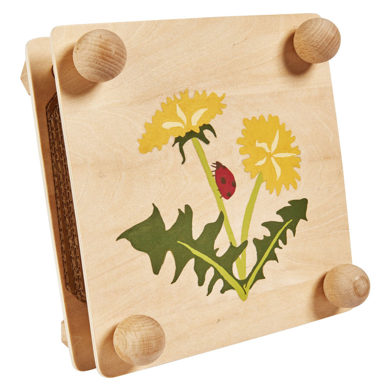 Load image into Gallery viewer, Eichhorn outdoor bladeren en bloemenpers knutselset