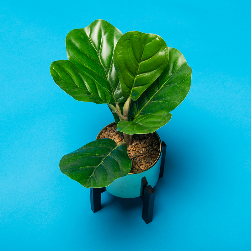 Load image into Gallery viewer, Superior achtergrondpapier 06 nassau 1,35 x 11m