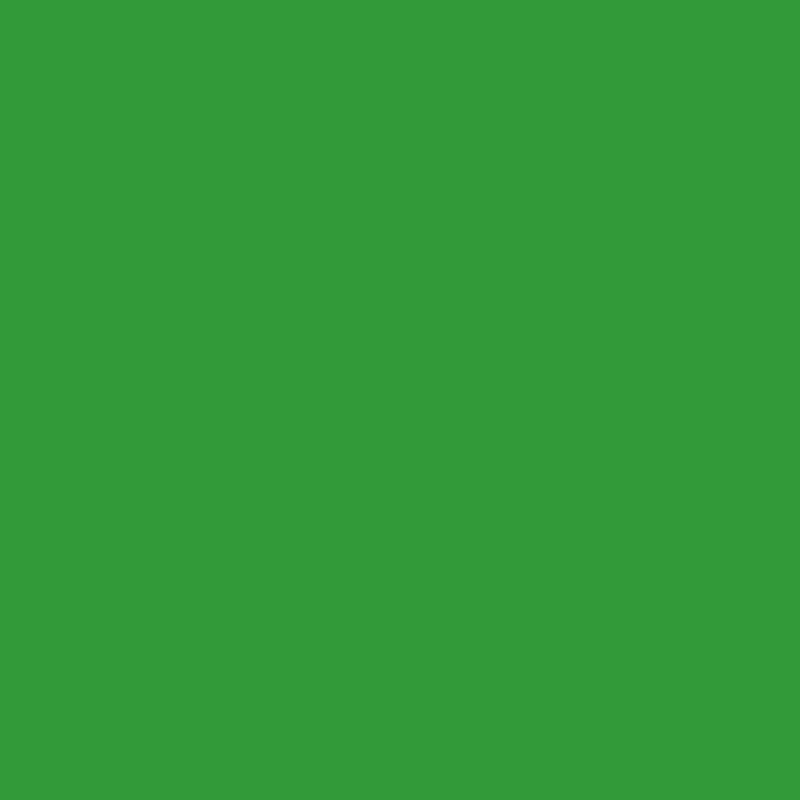 Load image into Gallery viewer, Superior achtergrondpapier 54 stinger chroma key 1,35 x 11m