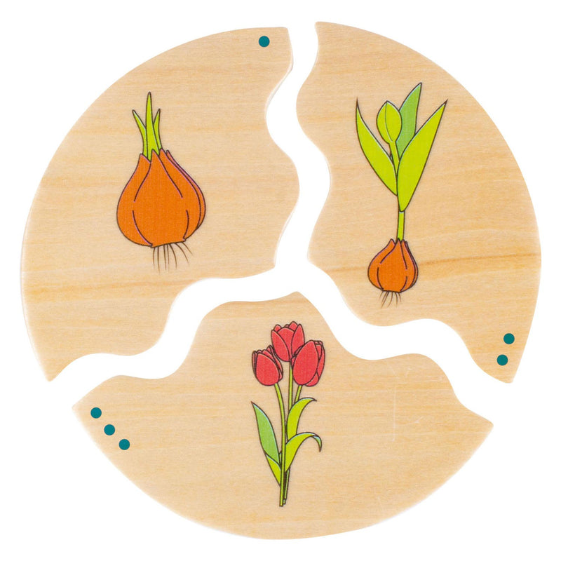 Load image into Gallery viewer, Beleduc nawito natuur evolutie houten kinderspel