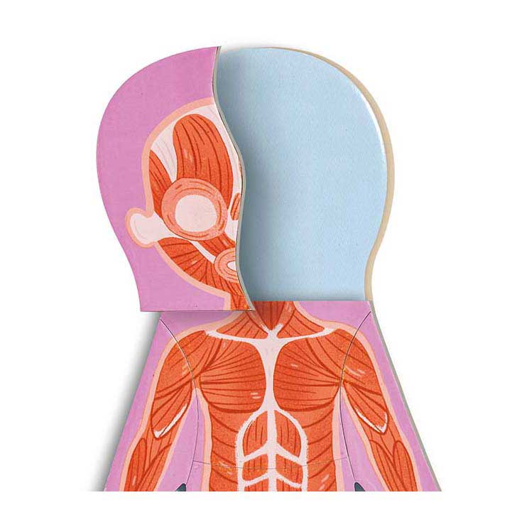 Load image into Gallery viewer, Hape menselijk lichaam magnetische puzzel - 63dlg.