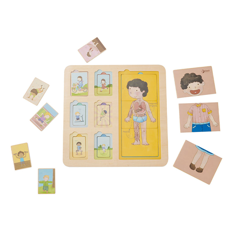 Load image into Gallery viewer, Classic World Houten Lagenpuzzel Lichaam, 19dlg.