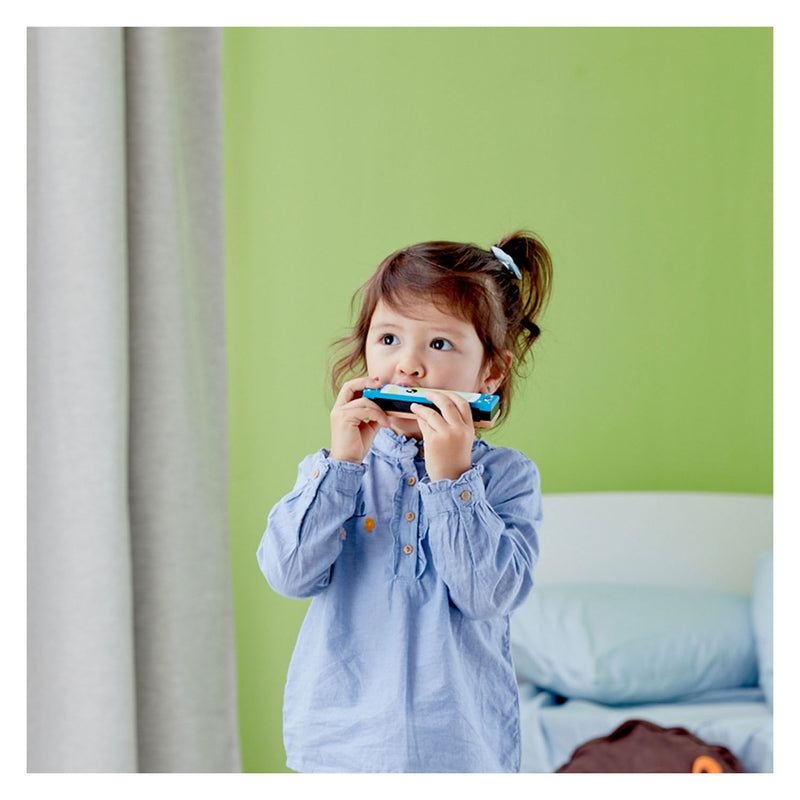Load image into Gallery viewer, Classic world mondharmonica