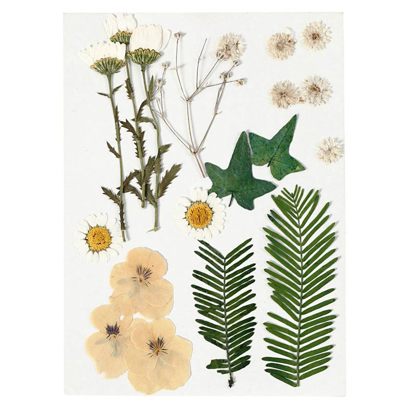 Load image into Gallery viewer, Creativ company gedroogde bloemen en bladeren off-white, 19dlg.