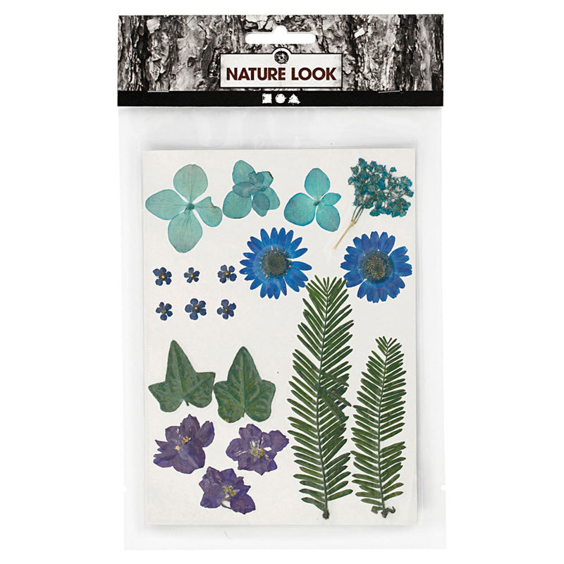 Afbeelding laden in galerijviewer, Creativ company gedroogde bloemen en bladeren blauw, 19dlg.