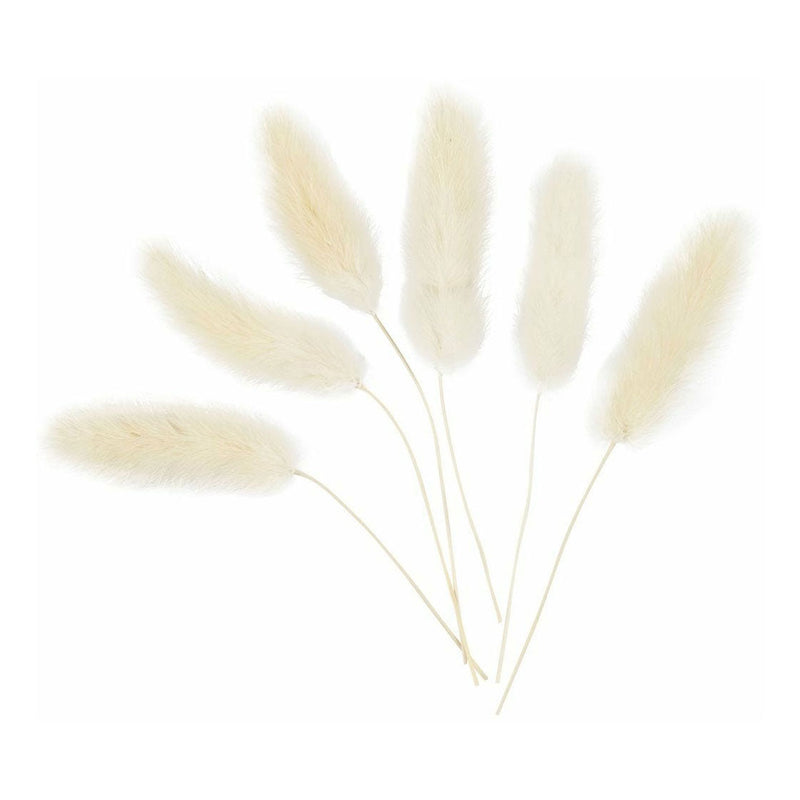 Load image into Gallery viewer, Creativ company http: www.cchobby.nl hazenstaart-gras-l-3-7-cm-6-stuk-1-doos