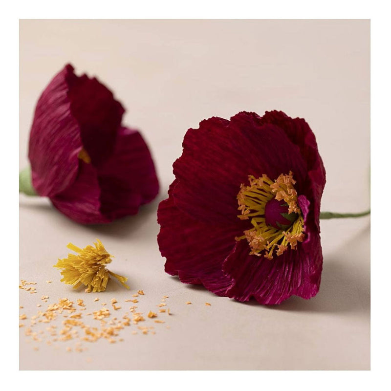 Load image into Gallery viewer, Creativ company mini hobbyset crepepapier klaprozen