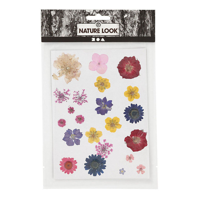 Load image into Gallery viewer, Creativ company gedroogde bloemen en bladeren diverse kleuren