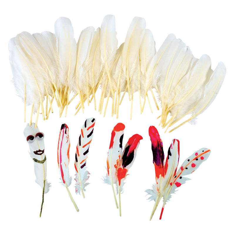 Load image into Gallery viewer, Colorations - natuurlijke witte veren, 48st.