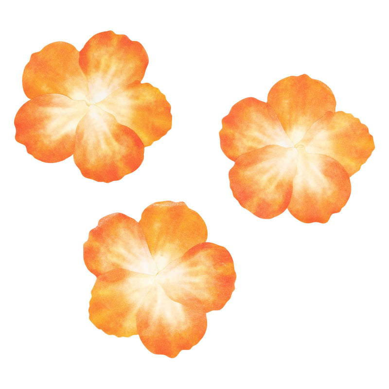 Load image into Gallery viewer, Colorations - washi stickers - oranje bloemblaadjes, 80st.