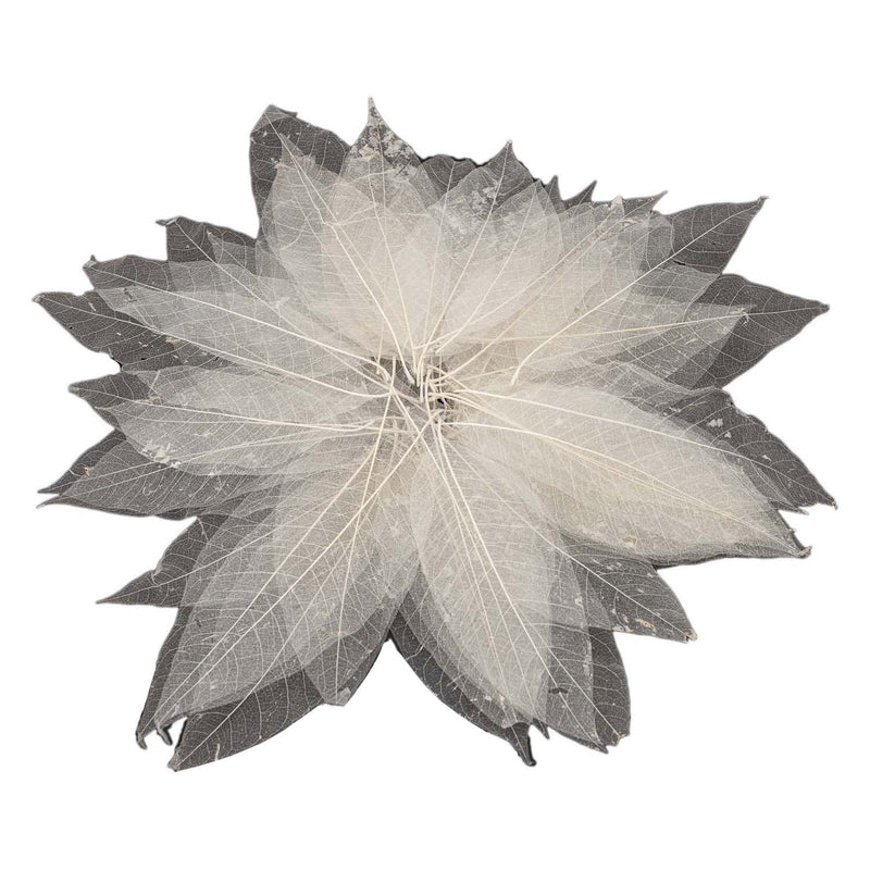 Load image into Gallery viewer, Magnolia bladskeletten, 50st.