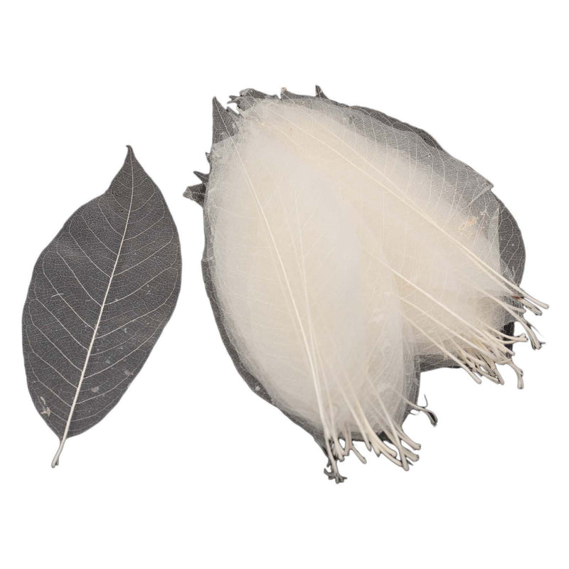 Load image into Gallery viewer, Magnolia bladskeletten, 50st.