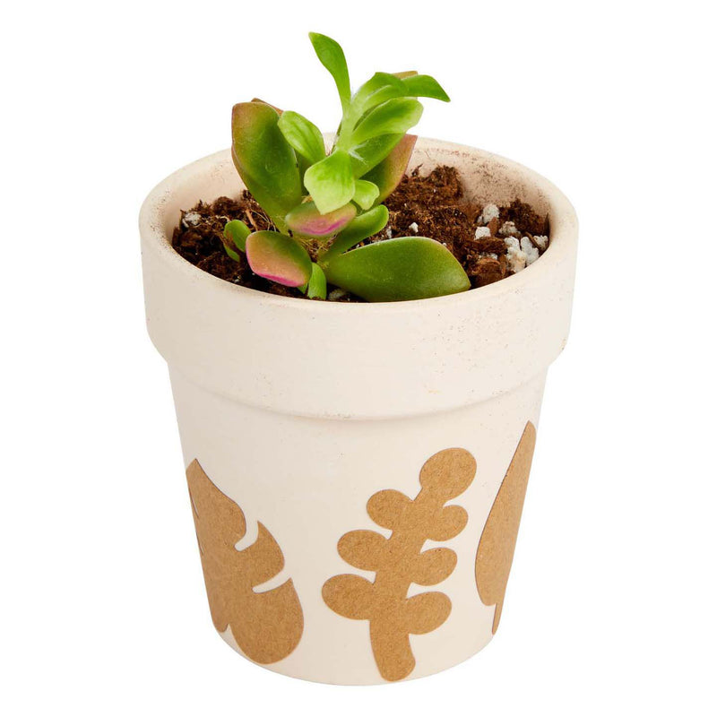 Load image into Gallery viewer, Colorations - botanisch knutselstickers, 400st.