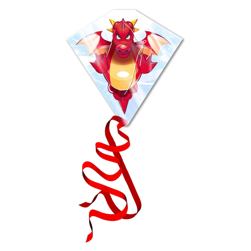 Load image into Gallery viewer, Kites ready 2 fly - vlieger draak